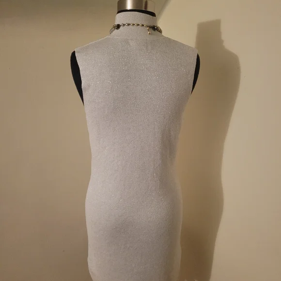 Rachel Zoe Silver Sleeveless Dress Size M - Picture 2 of 9